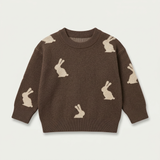 Brown Bunny Sweater