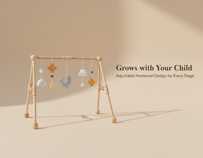 PerfectBaby™ Dream Arch Play Gym