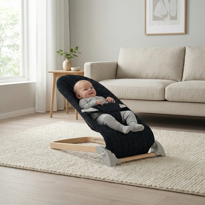 Baby Bouncer