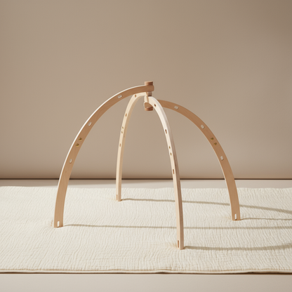 PerfectBaby™ Dream Arch Play Gym