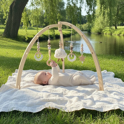 PerfectBaby™ Dream Arch Play Gym